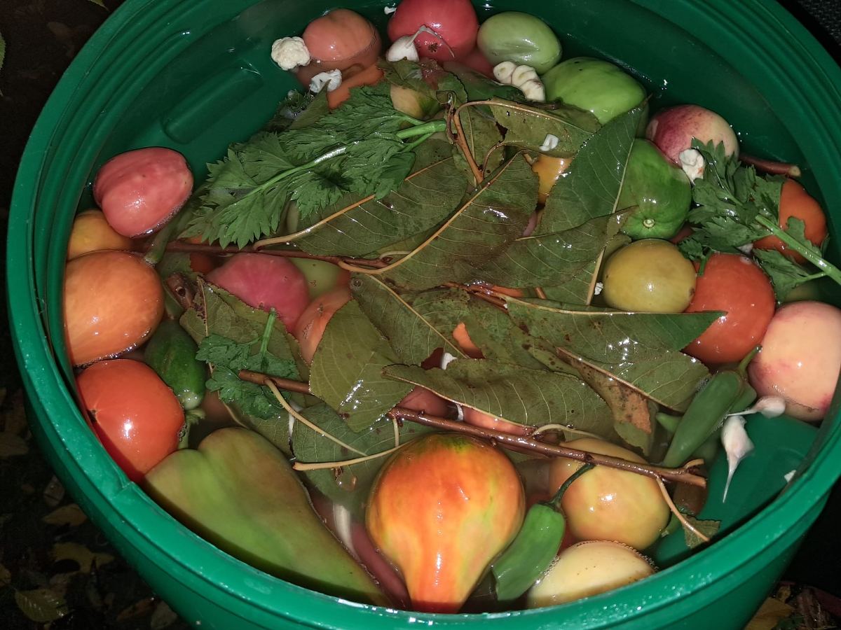 Cu ce poți înlocui hreanul la murături. Ingredientele care ajută legumele să rămână tari și crocante
