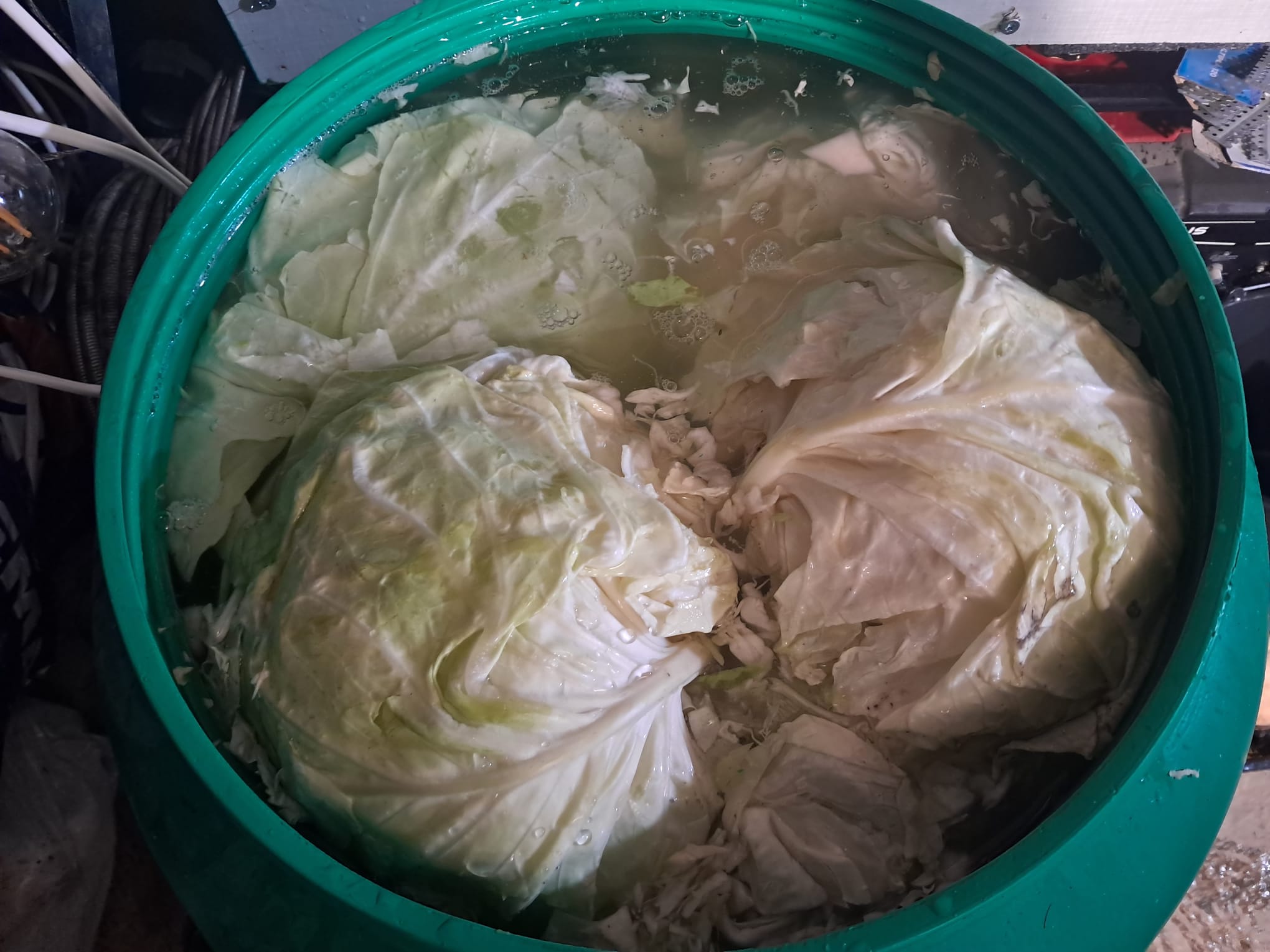 Ce trebuie să faci în primele 7 zile după ce pui varza la murat. Greșelile care o pot strica la bloc