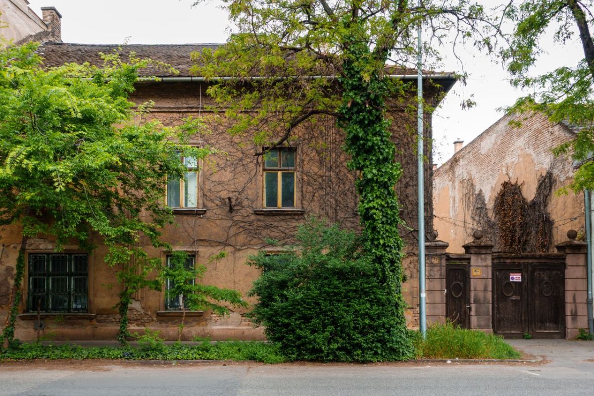 Satul de lângă România unde o casă cu grădină costă doar 12.000 de lei. Românii au început să cumpere